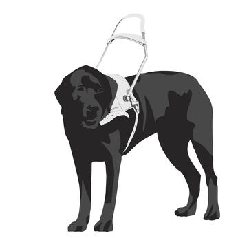 Nouvelle - Qu’est-ce qu’un chien d’assistance Nouvelle - Qu’est-ce qu’un chien d’assistance